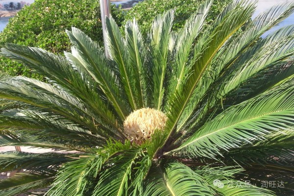 微信图片_20250611090207.jpg 微信图片_20250611090207.jpg